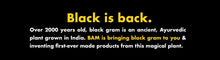 Load image into Gallery viewer, BAM Snacks - Black Gram Pasta - Rotini
